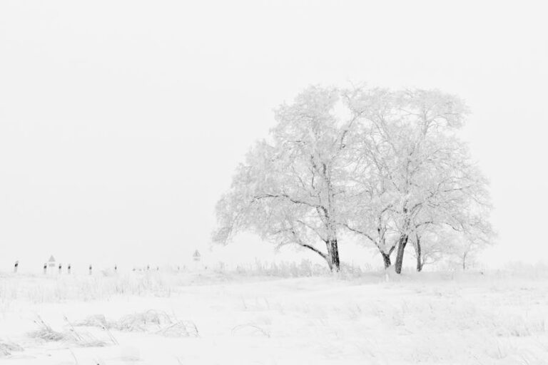 When Does It Snow in Scotland